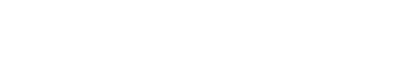 עיצוב ופיתוח — IsraelWeb